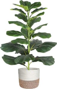 Artificial Fiddle-Leaf Fig