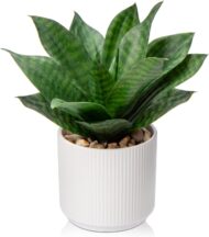 Artificial Agave and Snake Plant Potted Set