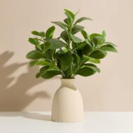 Realistic Indoor Artificial Greenery