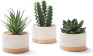 Artificial Succulent in Ceramic Pot
