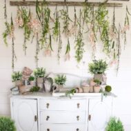 Mini Potted Plants