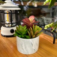Cute Colorful Artificial Succulent Potted Plants - Image 3