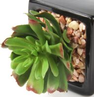 Small Artificial Succulent Potted Plant 3-Piece Set - Image 2
