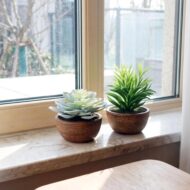 Plastic Artificial Succulent for Office Use - Image 3