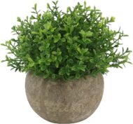 Mini Potted Plastic Plant