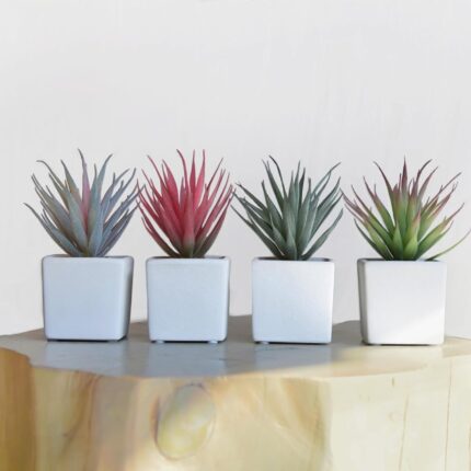 Classic 4-Piece Set of Artificial Succulents