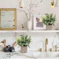 Mini Potted Plants - Image 2