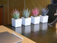 Classic 4-Piece Set of Artificial Succulents - Image 3