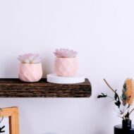 Artificial Succulent in Pink Ceramic Pot - Image 2