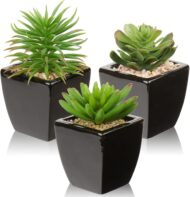 Small Artificial Succulent Potted Plant 3-Piece Set