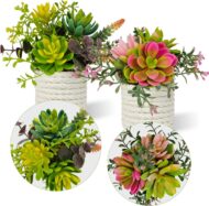 Artificial Succulent 2-Piece Set - Image 2