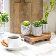 Artificial Succulent Potted Plant