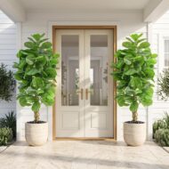 Artificial Fiddle-leaf Fig - Image 2