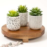 Artificial Succulent Potted Plant - Image 2