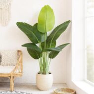 Artificial Banana Leaf Tree