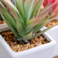 Classic 4-Piece Set of Artificial Succulents - Image 2