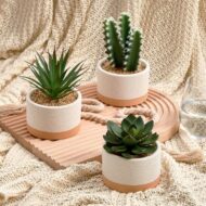 Artificial Succulent in Ceramic Pot - Image 2